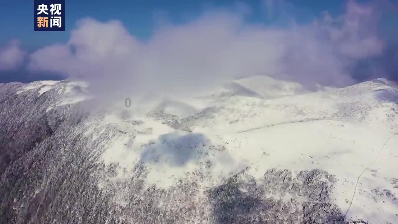 杀手2